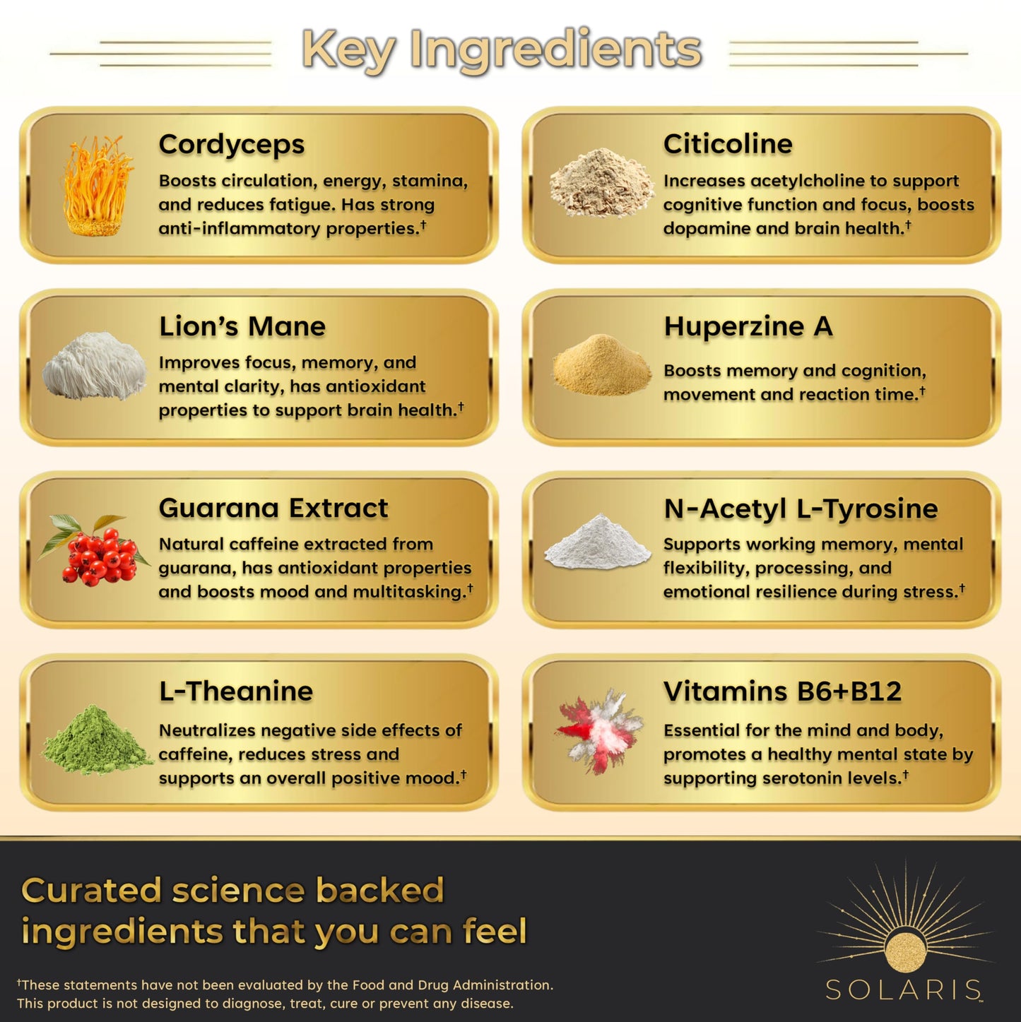 Solaris Mushroom Productivity Wellness Shots | Focus, Circulation, Memory | 4000mg of Cordyceps & Lion's Mane | Citicoline, L-Theanine, Vitamin B6/B12