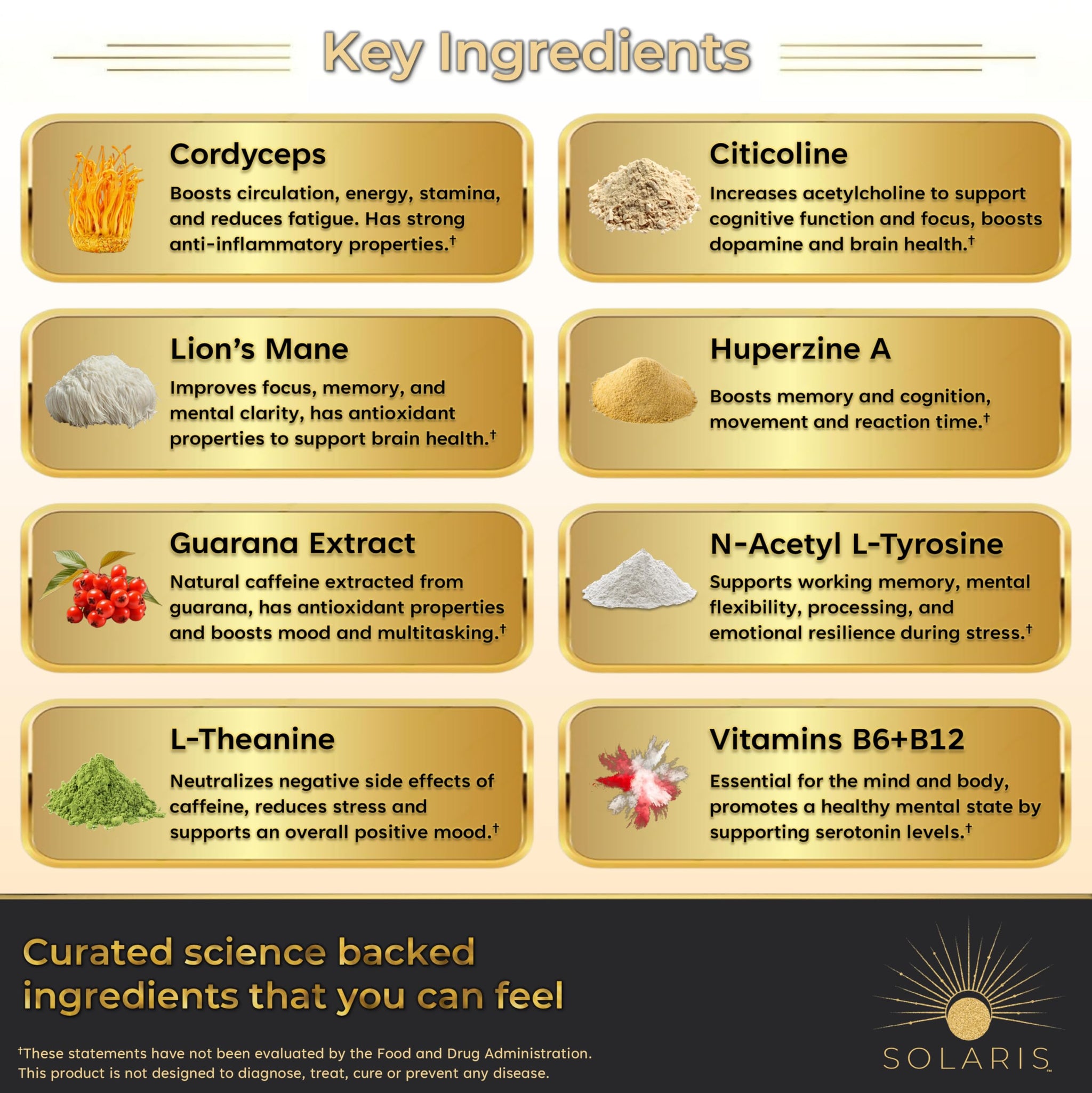 Solaris Mushroom Productivity Wellness Shots | Focus, Circulation, Memory | 4000mg of Cordyceps & Lion's Mane | Citicoline, L-Theanine, Vitamin B6/B12