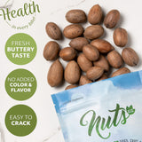 NUTS U.S. - Pecans In shell | Whole, Raw and Unsalted | No Added Flavor or Color | Fresh Buttery Taste and Easy to Crack | Natural Unshelled Pecans