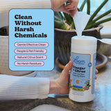 Loom Wipes All Purpose Natural Cleaning Wipes - Vinegar & Citrus Powered Multi Surface Cleaner - 50 Count