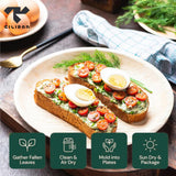 Tilipan Plam Leaf Disposable Plates 10 Inches (50 Count) Like Bamboo Plates,Compostable & Biodegradable,Better than Plastic Plates-Heavy-Duty