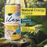 ILEX Yerba Mate Energy Drink, Zero Sugar, Lemon, 9 fl oz (Pack of 6)