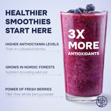 Jungle Powders Freeze Dried Wild Blueberry Powder 3.5 Ounce Bag Blueberry Powder For Smoothies Baking Extract Nordic Freeze Dried Blueberries No Sugar