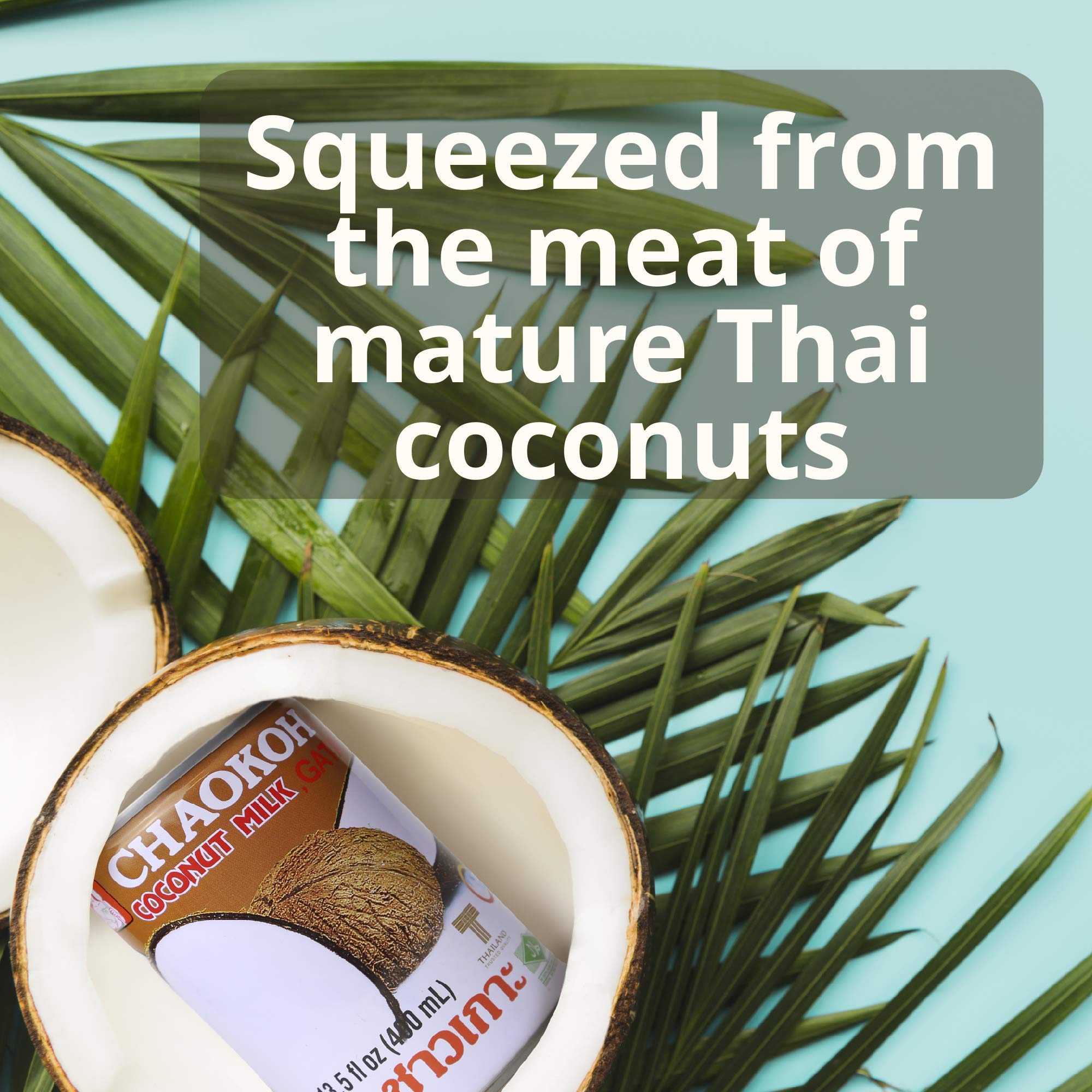 Chaokoh Coconut Milk Unsweetened 6 Pack - Premium, Canned Coconut Milk from Thailand, Lactose Free, Non Dairy Vegan Milk - for Curries, Drinks, Desserts, & More (13.5 oz per Can)