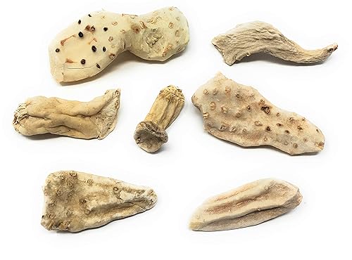 Whole Orris Root - 100% Iris Germanica - Iris Root Contains Essential Oils, Flavonoids And Is Used In Perfumes - Net Weight: 1.76oz / 50g