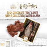 Harry Potter Chocolate Frog and Collectible Card, 0.55 Ounces, (2 Pack)