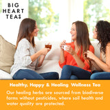 Big Heart Tea Co. Ginger Turmeric Tea, Certified Organic Tea Bags (20 Count) Herbal Caffeine Free Blend with Adaptogenic Tulsi, Peppercorn, Cinnamon