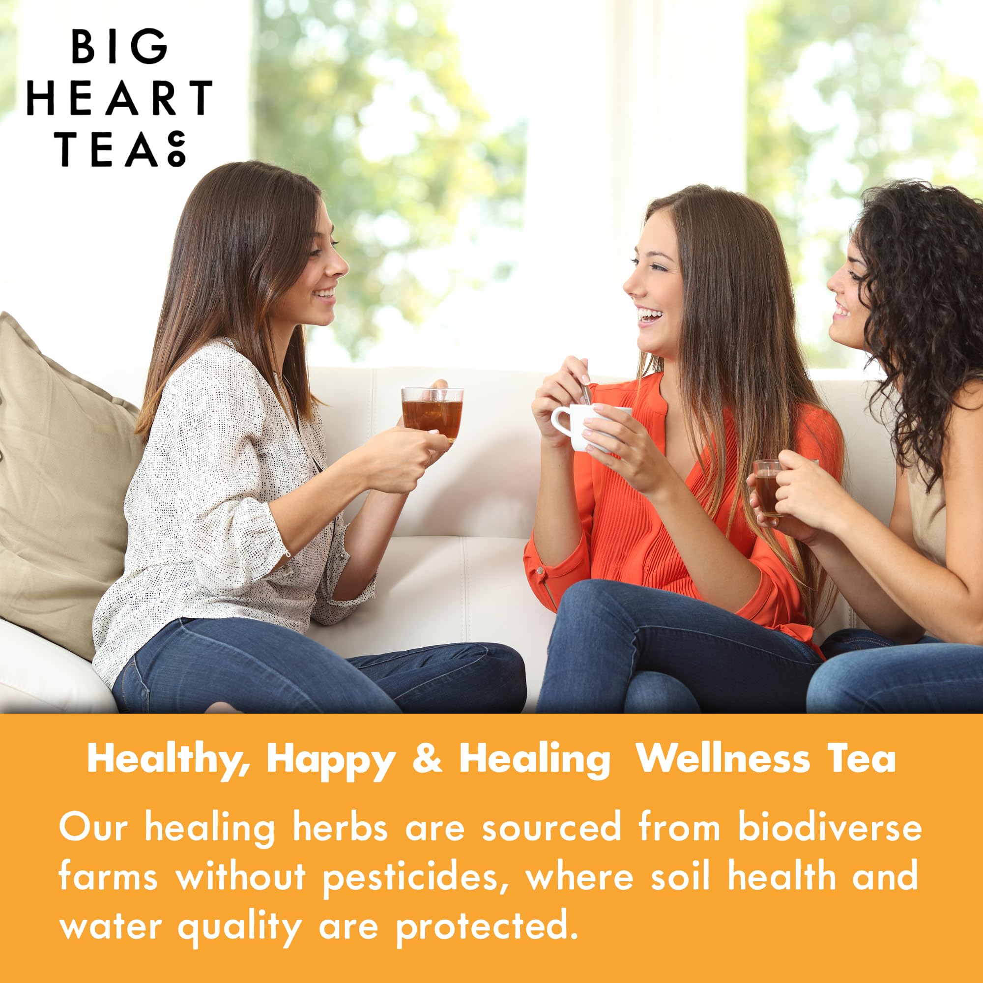 Big Heart Tea Co. Ginger Turmeric Tea, Certified Organic Tea Bags (20 Count) Herbal Caffeine Free Blend with Adaptogenic Tulsi, Peppercorn, Cinnamon