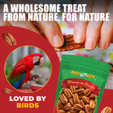 Two Pounds Of Pecans Raw, Whole, Shelled, Raw, Natural, No Preservatives Added, Non-GMO, NO PPO, 100% Natural We Got Nuts
