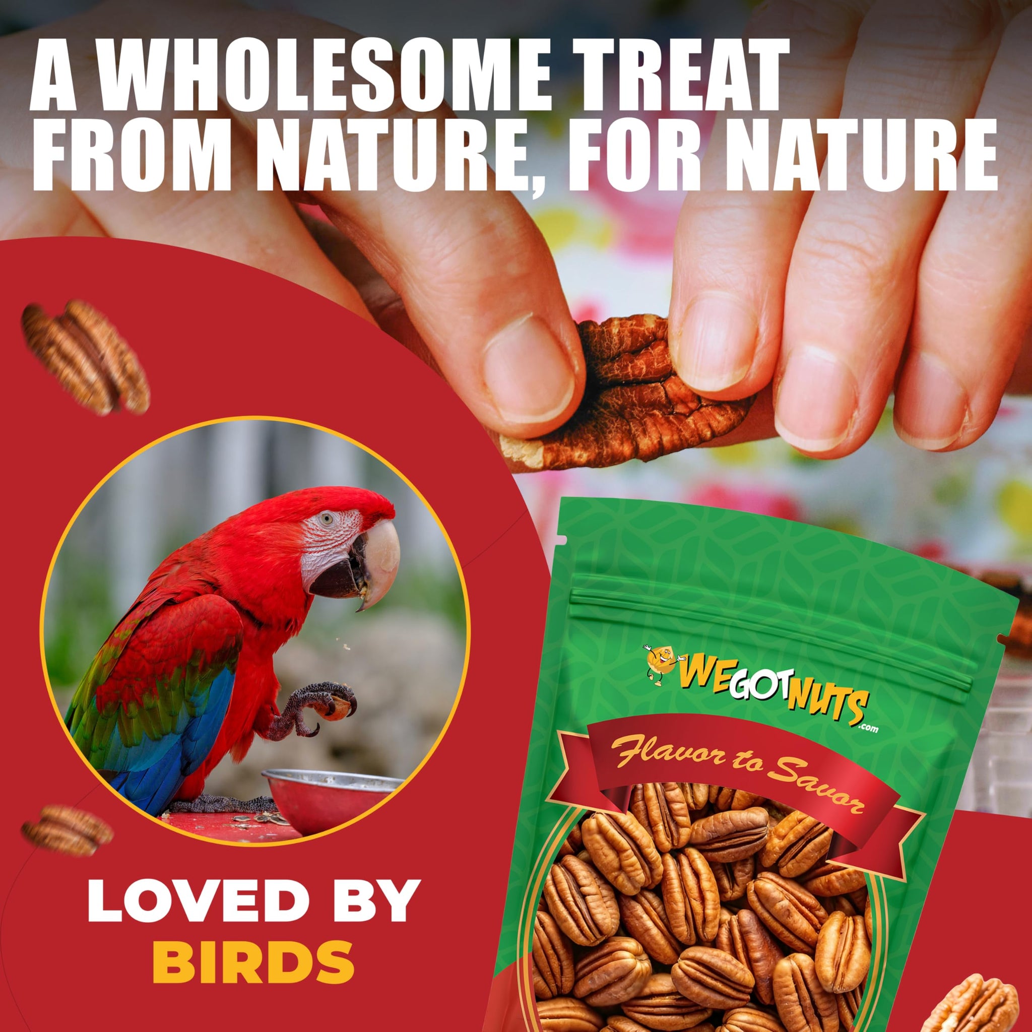 Two Pounds Of Pecans Raw, Whole, Shelled, Raw, Natural, No Preservatives Added, Non-GMO, NO PPO, 100% Natural We Got Nuts