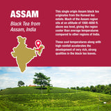 Tiesta Tea - Assam Black Tea, Loose Leaf, Single Origin Premium Black from India, High Caffeinated, Make Hot or Iced & Brews Up to 50 Cups, Pure