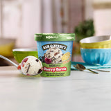Ben & Jerry's Non-Dairy, Cherry Garcia, 16 oz
