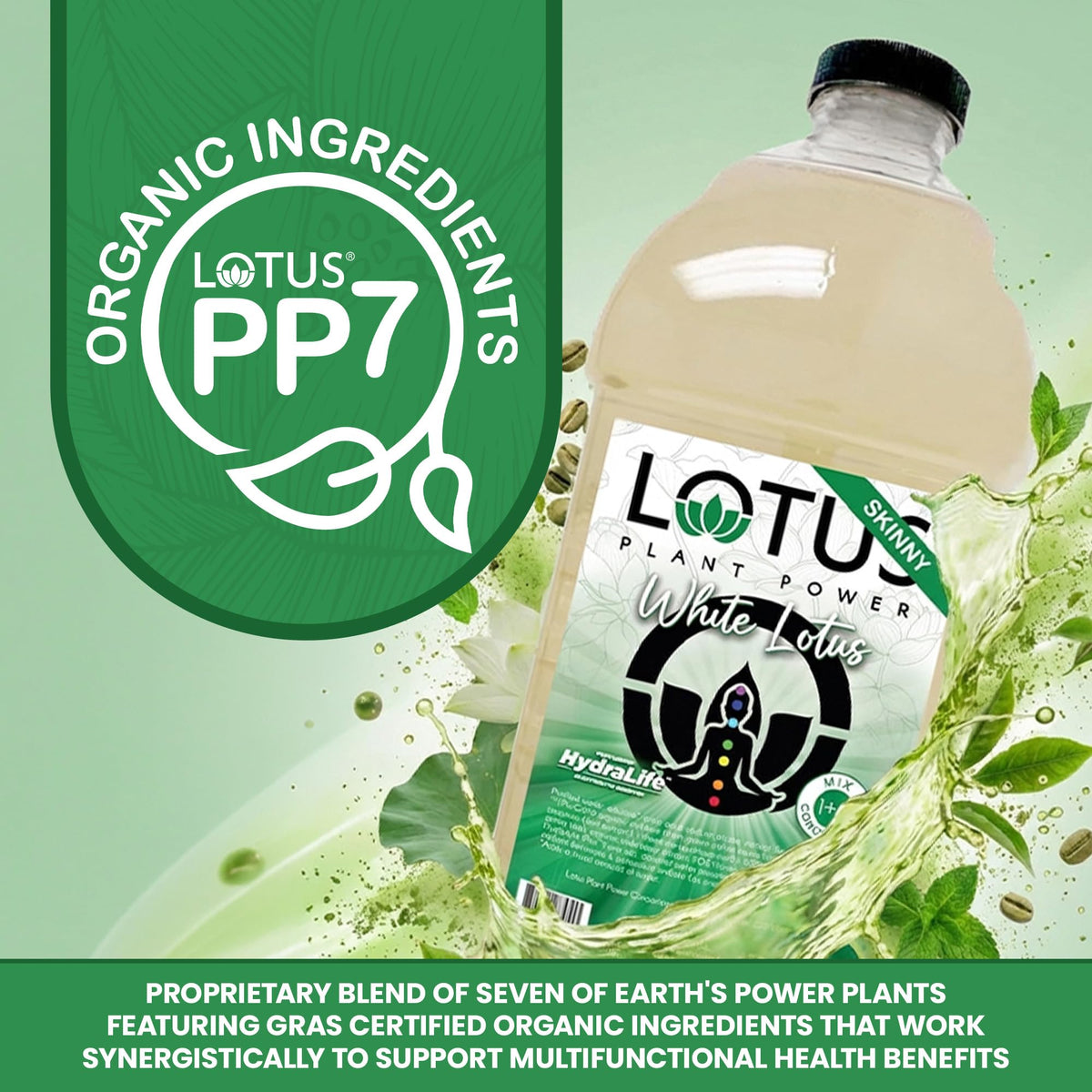 Skinny White Lotus Plant Power® Zero Sugar Energy Drink, PP7™ Formula