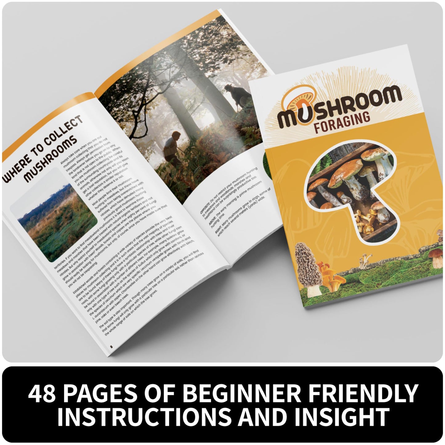 SpiceBox Gift Box: Mushroom Foraging Kit - Discover Nature's Delicacies and Become a Fungi Connoisseur
