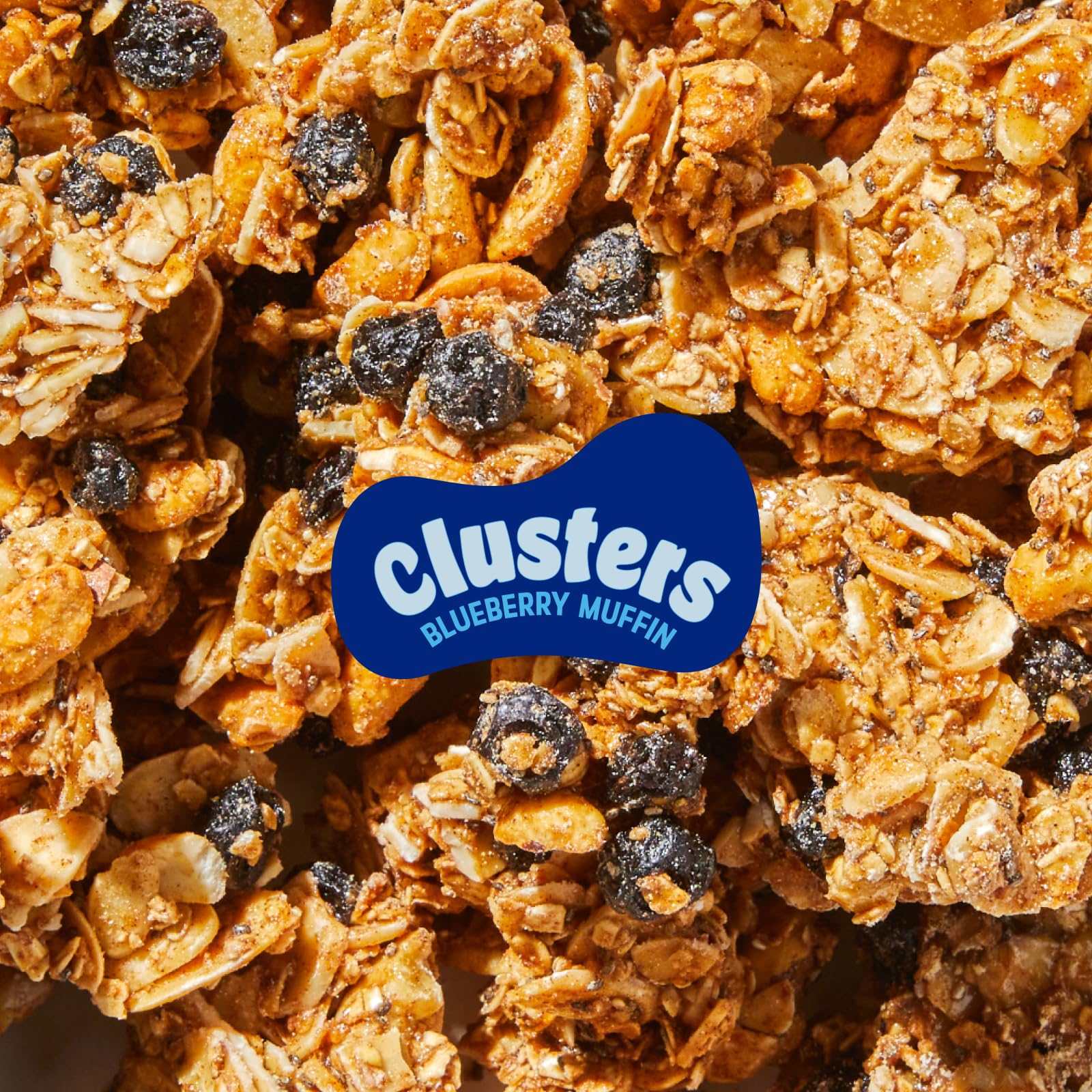 Nature’s Garden Blueberry Muffin Clusters, 32oz Pouch - Big Chunky Nut & Oat Bites with Cashews, Almonds, Chia & Real Blueberries - Gluten-Free