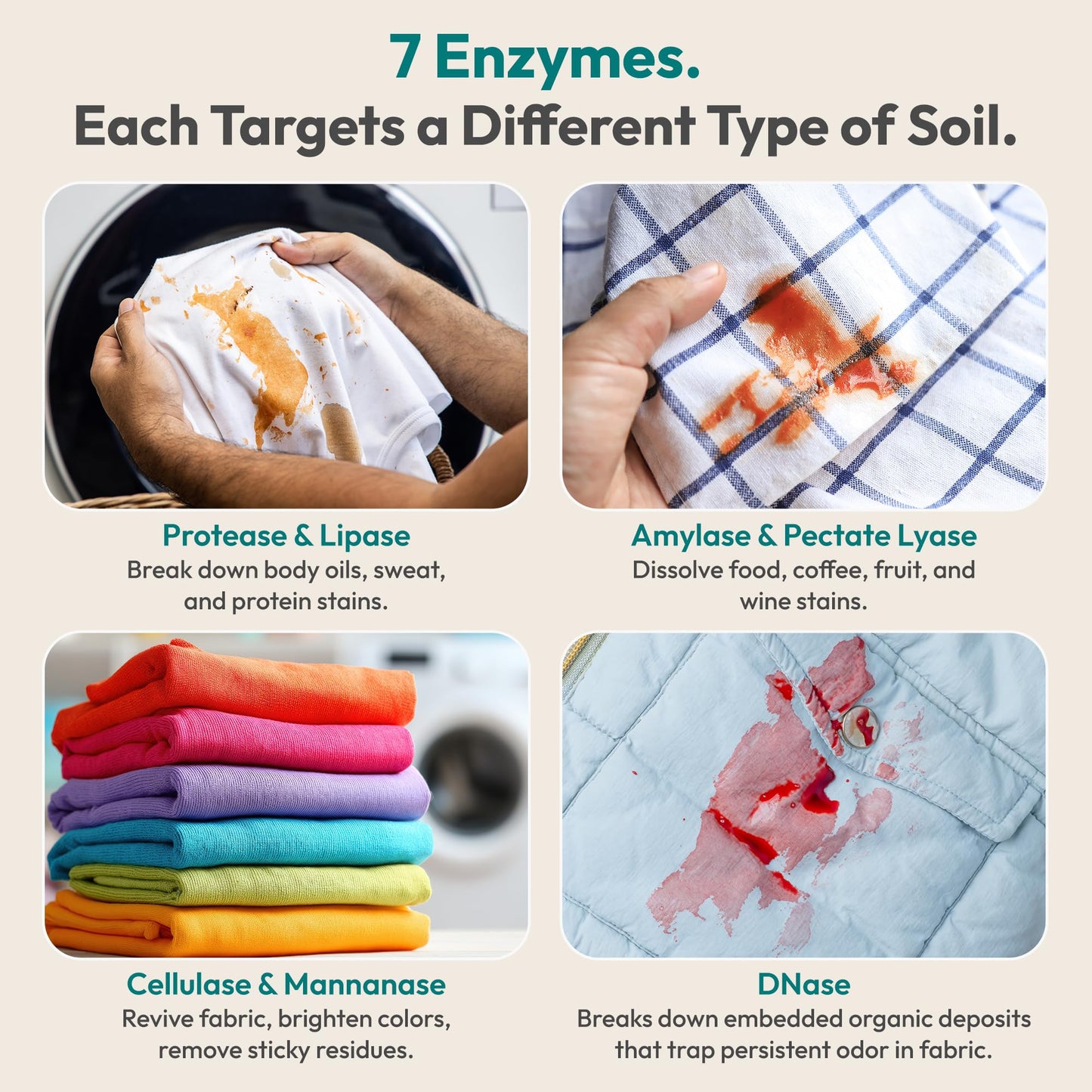 FEBU Enzyme Oxygen Laundry Booster | 7-Enzymes Including DNase | Odor Eliminator & Stain Remover for Sweat, Pet & Musty Odors | Concentrated Powder