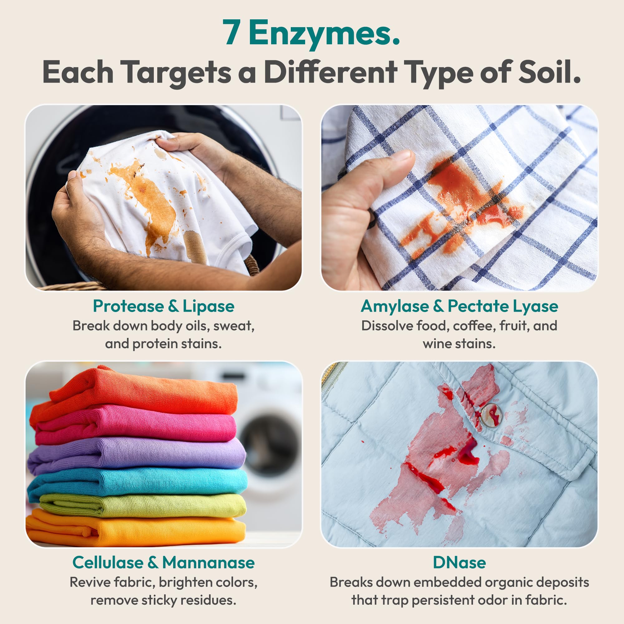 FEBU Enzyme Oxygen Laundry Booster | 7-Enzymes Including DNase | Odor Eliminator & Stain Remover for Sweat, Pet & Musty Odors | Concentrated Powder