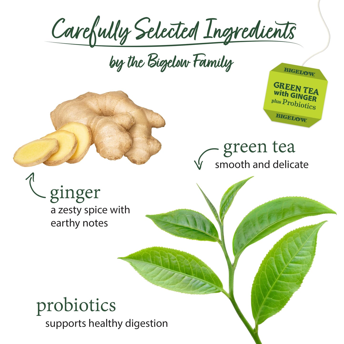 Bigelow Tea Green Tea with Ginger Plus Probiotics, Caffeinated, 18 Count, (Pack of 1), 18 Total Tea Bags