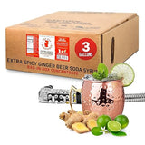 Top Hat Extra Spicy Ginger Beer Soda Syrup - 3 gallon BIB Cocktail mix - Bag in Box Concentrate for Commercial Soda Gun and Fountain Systems - QCD