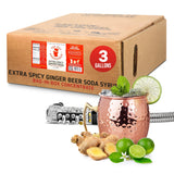 Top Hat Extra Spicy Ginger Beer Soda Syrup - 3 gallon BIB Cocktail mix - Bag in Box Concentrate for Commercial Soda Gun and Fountain Systems - QCD