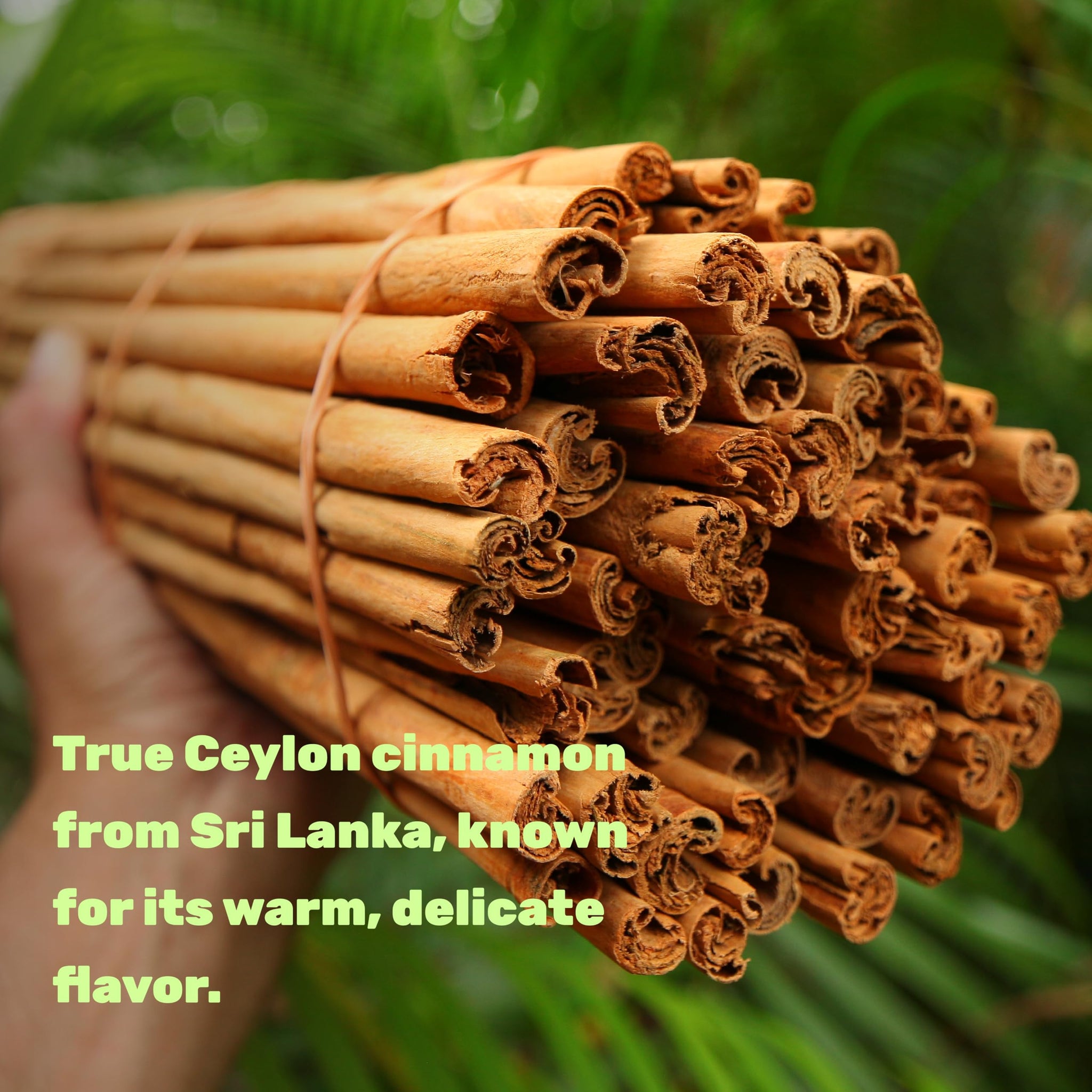 DEAL SUPPLEMENT Organic Ceylon Cinnamon Powder, 24 oz | Sri Lanka Source | Fine Ground True Cinnamomum Verum | Smooth, Delicate Flavor for Coffee