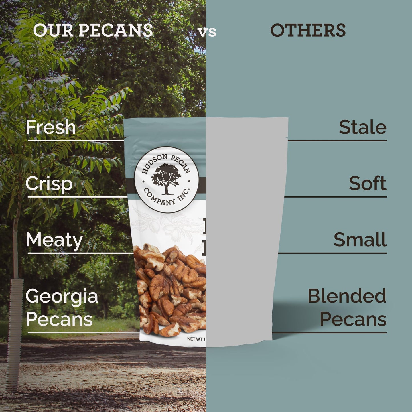 HUDSON PECAN COMPANY | Fresh Fancy Georgia Pecan Pieces | Local, Rich & Flavorful, Kosher Certified | Ideal for Baking, Cooking, Desserts, Salads