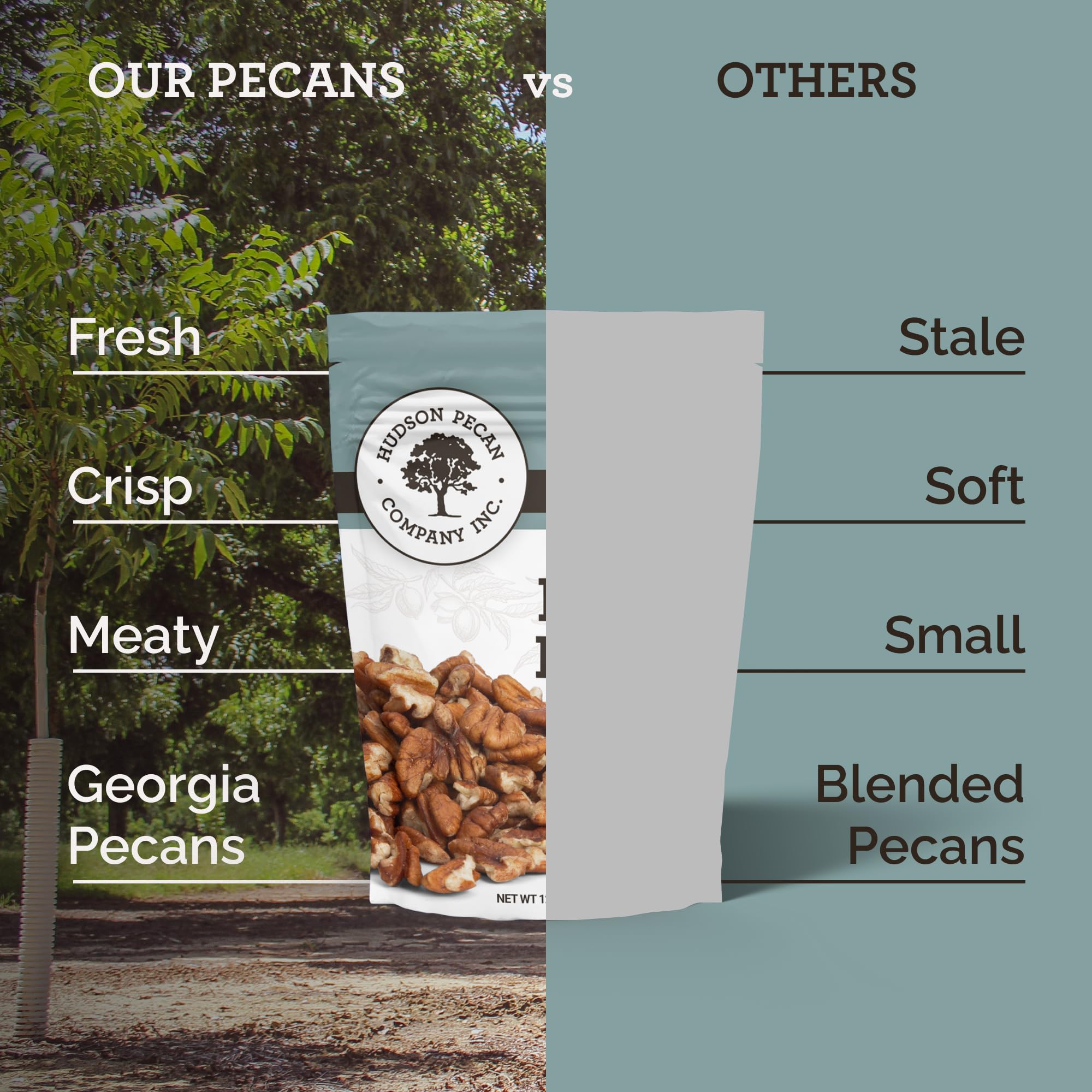HUDSON PECAN COMPANY | Fresh Fancy Georgia Pecan Pieces | Local, Rich & Flavorful, Kosher Certified | Ideal for Baking, Cooking, Desserts, Salads