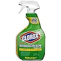 Clorox Company Clorox Clean-Up All Purpose Cleaner Spray Bottle With Bleach Original, 24 Fl Oz