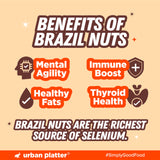 Urban Platter Shelled Brazil Nuts | Imported From Peru | Wholesome and Delicious | 250g (8.81 Ounce)