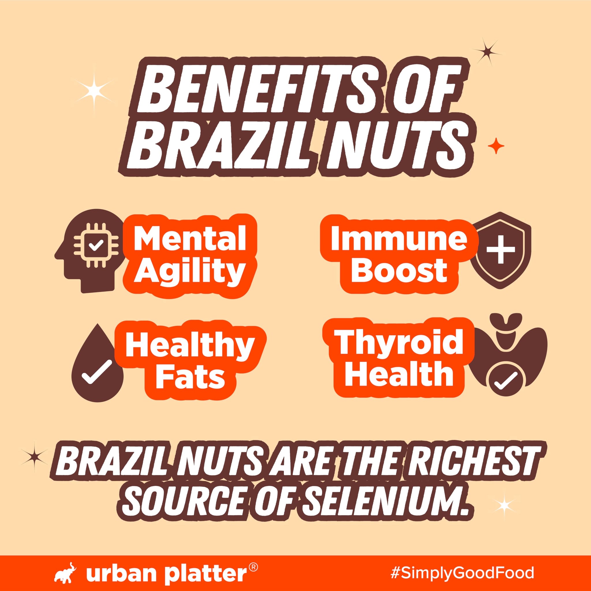 Urban Platter Shelled Brazil Nuts | Imported From Peru | Wholesome and Delicious | 250g (8.81 Ounce)