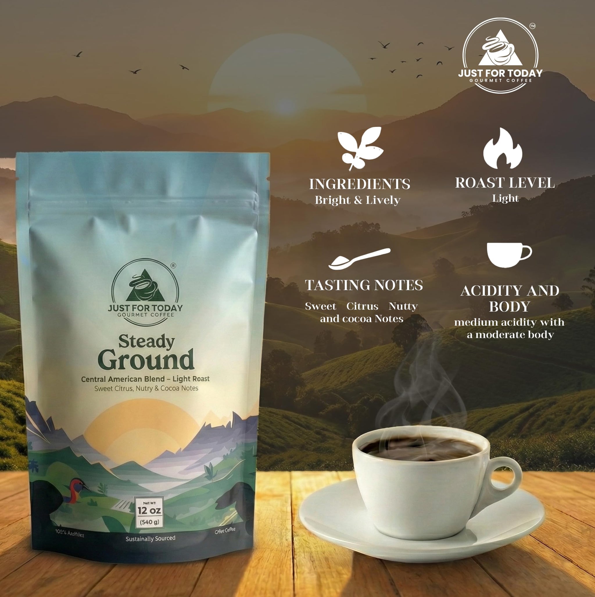 Just for today Gourmet coffee central american Blend, Light Roast, 100% arabica 12oz (Pack of 1)