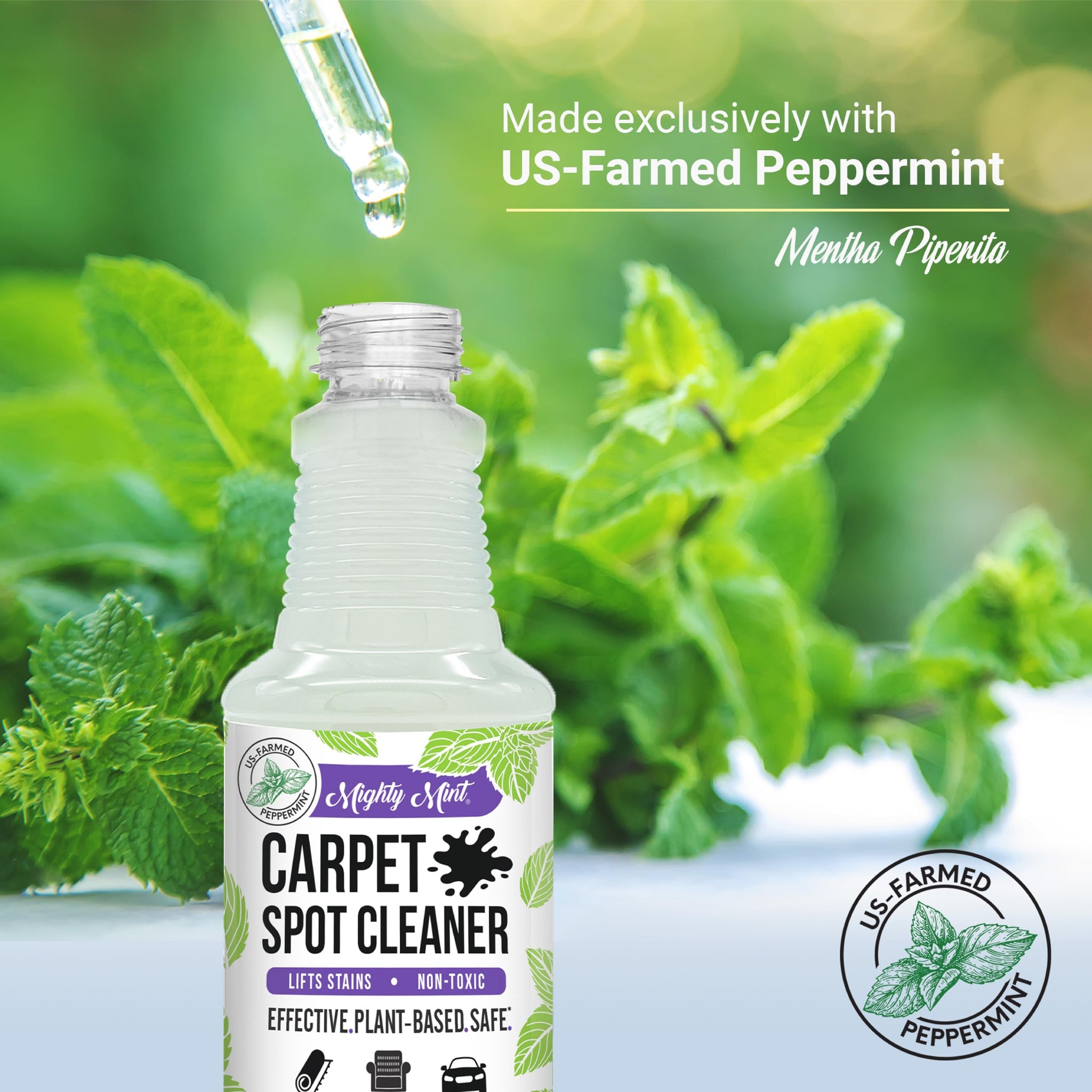Mighty Mint Carpet Spot Cleaner, Spray to Remove Carpet Stains Instantly, Natural Peppermint Scent, 16oz