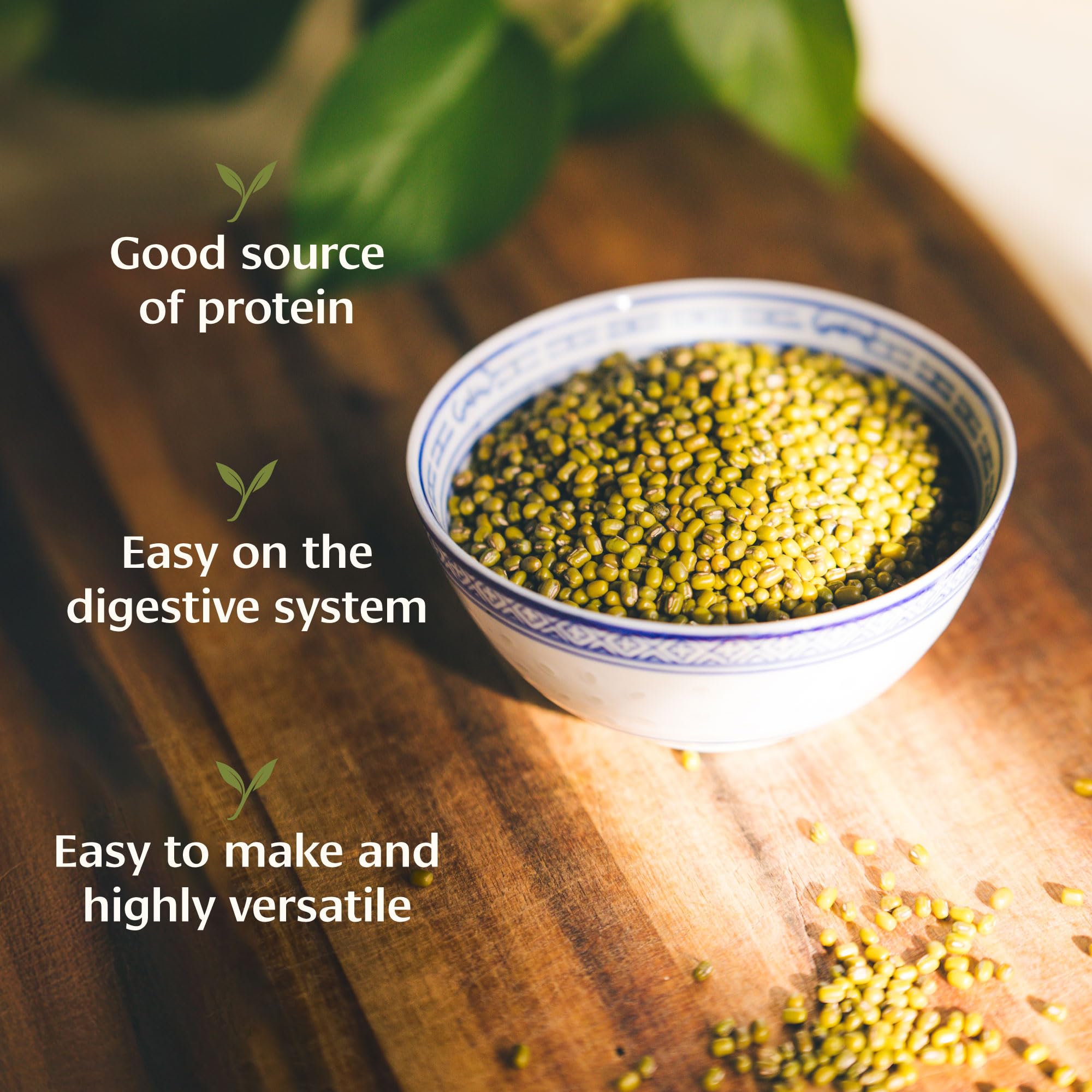 Banyan Botanicals Green Mung Beans - Whole Organic Green Mung Beans for Cooking High Protein Vegetarian Meals - Easy Digestion Meal - 1.65 lb