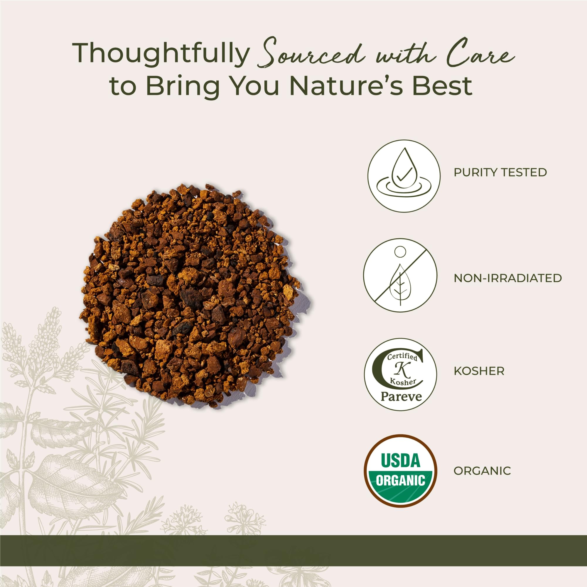 Starwest Botanicals Organic Dried Chaga Mushrooms - Cut and Sifted Chaga for Tea, Soups, Stews, Shakes, & More, Natural Earthy Flavor, Non GMO - 4 oz