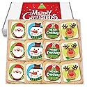 Christmas Cookies Gift Basket for Kids Men Women | Holiday Gourmet Corporate Food Gift INDIVIDUALLY WRAPPED | 12 Decorated Sugar Cookies