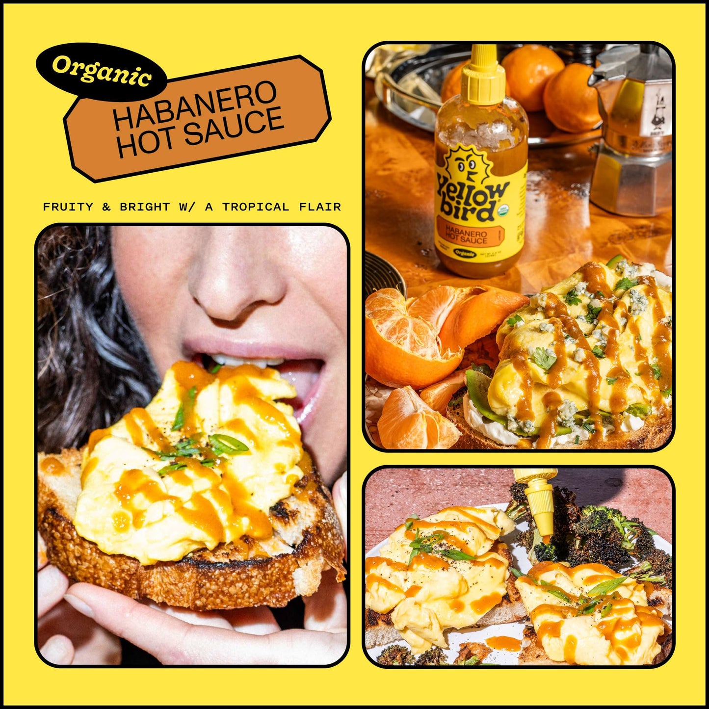 Organic Habanero Hot Sauce by Yellowbird - Organic Hot Sauce with Habanero Peppers, Garlic, Carrots, and Tangerine - Plant-Based, Gluten Free, Non-GMO