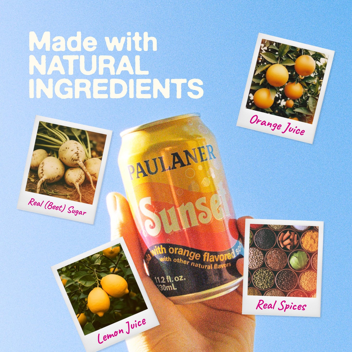 Paulaner Sunset Classic Orange Cola Soda Soft Drink | Fruity European Natural Sugar Spezi Soda Made in Germany | Vegan and Gluten-Free | 11.2 fl oz