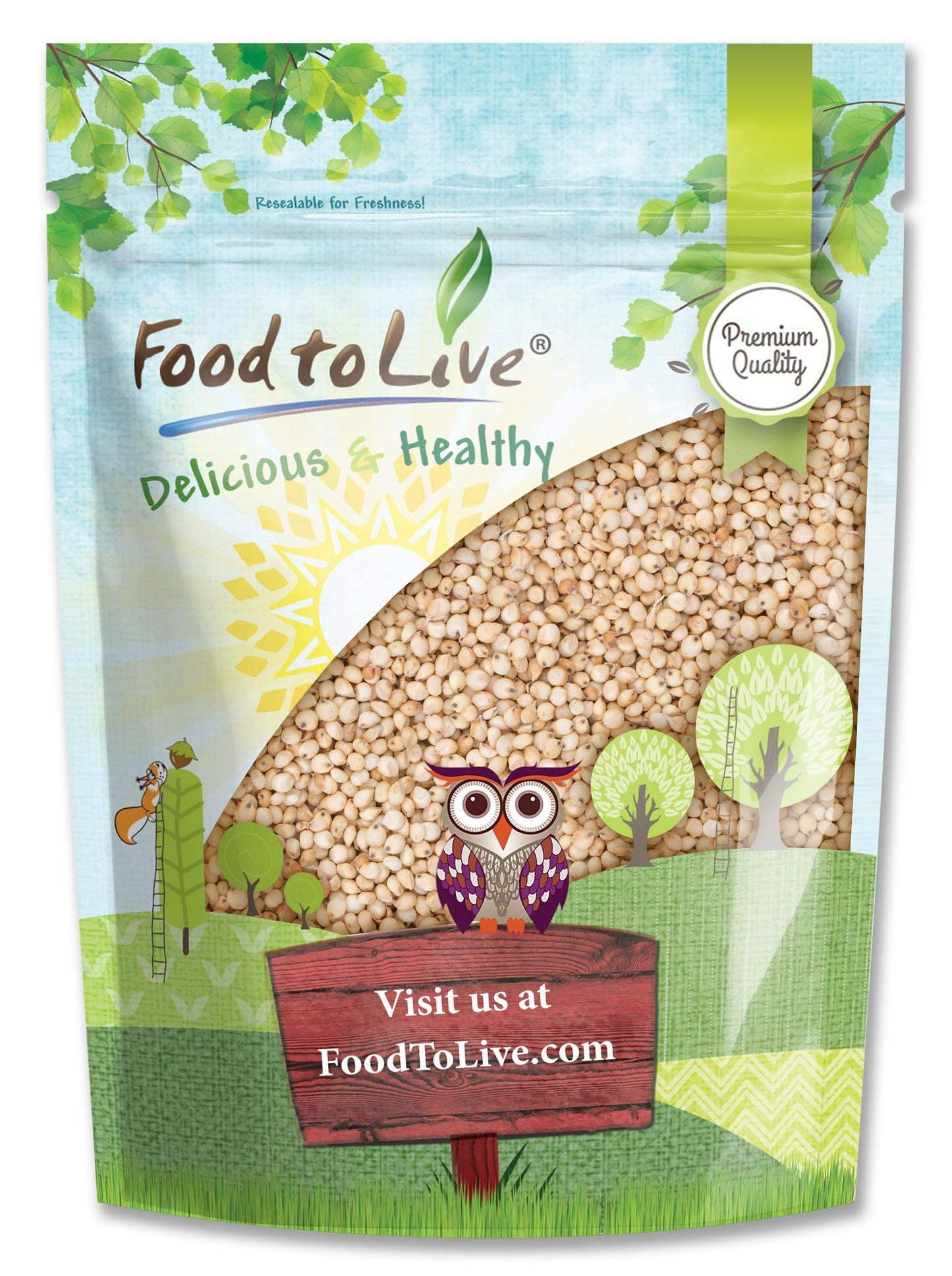 Food to Live Italian White Whole Grain Sorghum, 1 Pound - Premium White Groats. Raw Milo Seeds. Vegan, Bulk Broom-corn. Durra is Great for Making