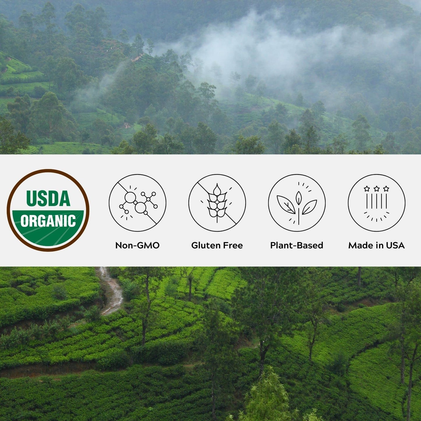 One Farm by WAAYB Organic Ceylon Cinnamon, Single Estate, Freshly Ground Premium Sri Lanka Cinnamon, Non-GMO, Fair-Trade & Gluten Free in Resealable