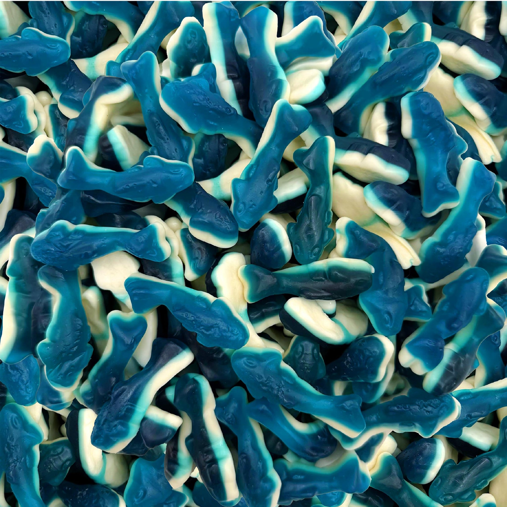 Blue Sharks Gummy Candy | 1 Pound Bag | Fruity Shark Gummies | Soft Chewy Gummy Fish for Parties, Candy Buffets, Events | Blue Raspberry and Vanilla