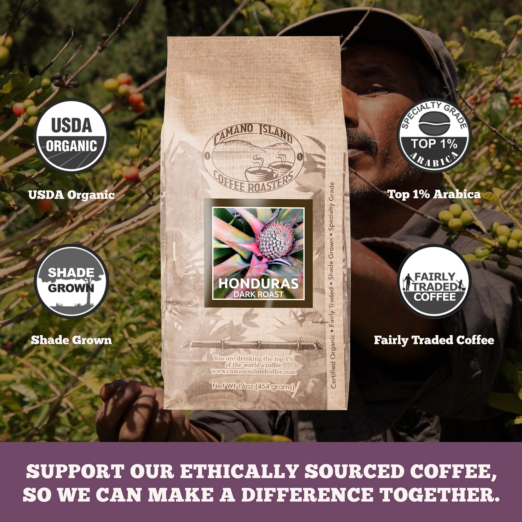 Camano Island Coffee Roasters Roasters Honduras Dark Roast, Whole Bean 1lb, Fresh Small Batch Roasted, USDA Organic, Fairly Traded, Shade Grown Top 1%