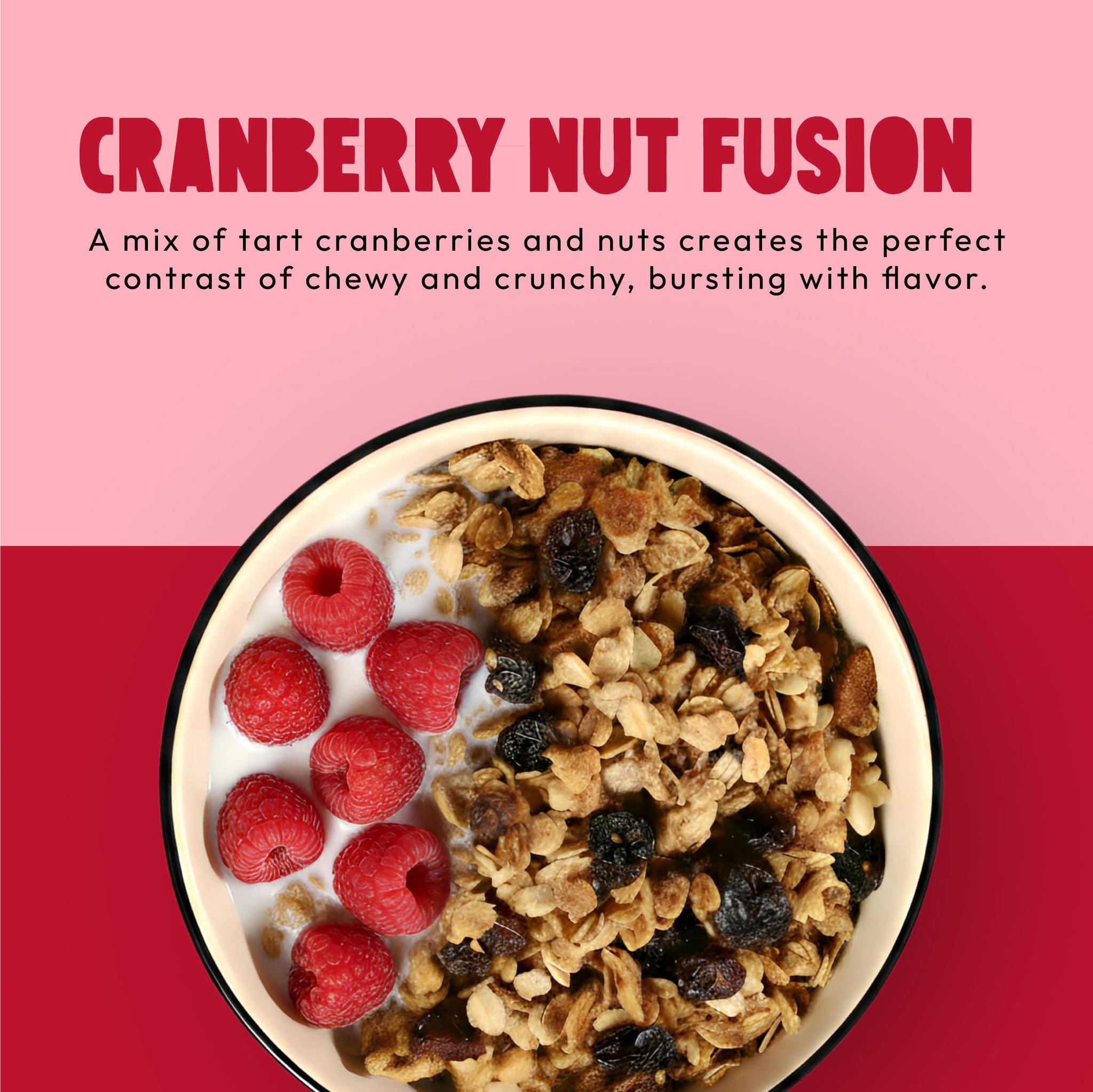 Kellys Four Plus Granola Cereal | Cranberry Nut Healthy Granola for Yogurt | Hand Made Snacks for Breakfast - 12 oz (Pack of 4)