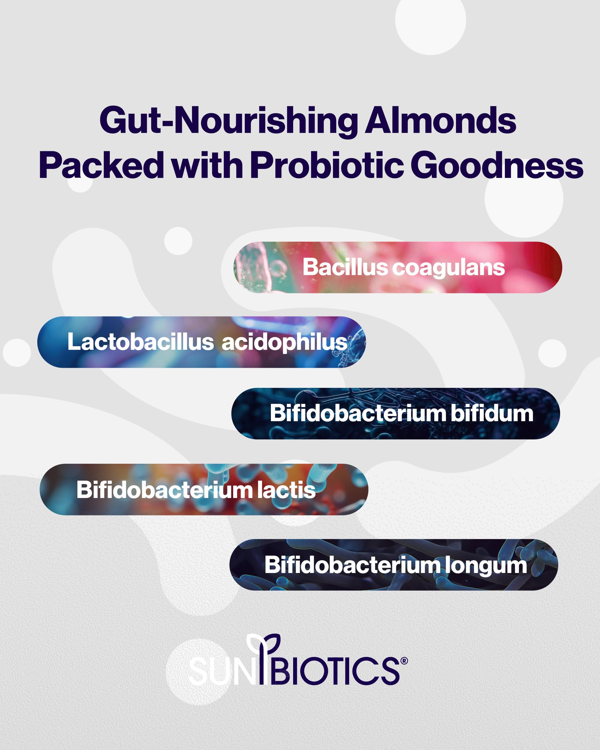 Sunbiotics Activated Organic Sprouted Almonds - Truffle & Herb, Pack of 12