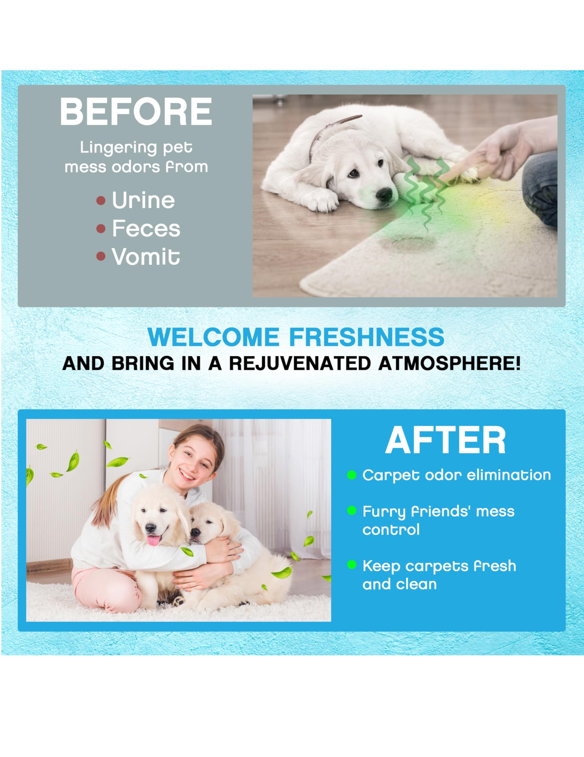 NonScents Carpet & Rug Odor Eliminator - Safe & Fragrance-Free Pet Carpet Deodorizer - Cat and Dog Smell Neutralizer - Removes Pet Urine Odors - Fresh