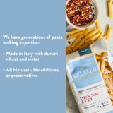 DeLallo Penne Ziti Pasta, Made in Italy, Bronze Cut, Made with Only 100% Durum Wheat Semolina Flour, Kosher, Vegan, All Natural, Non-GMO, 1 Pound Bag