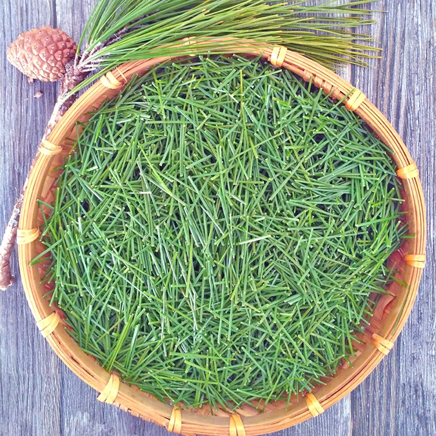 Dried Pine Needle Tea, 7.0oz(200g), 100% Wild Pine Needles Herbal Tea, Cut & Sifted