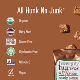 Heavenly Hunks Organic Oatmeal Dark Chocolate Chip Mini's - 1.2oz Bags (16 Pack)