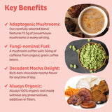 KOS Mushroom Coffee - USDA Certified Organic - Dark Chocolate Mocha Flavor - Mushroom Coffee Latte Powder with Reishi, Cordyceps, Lion's Mane, Chaga