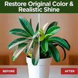 Sparkle Plenty Silk Sensation Artificial Flower & Plant Leaf Cleaner and Shine - Fake Flower Dusting Spray - Silk Plant Cleaner Spray No Wipe - Drip