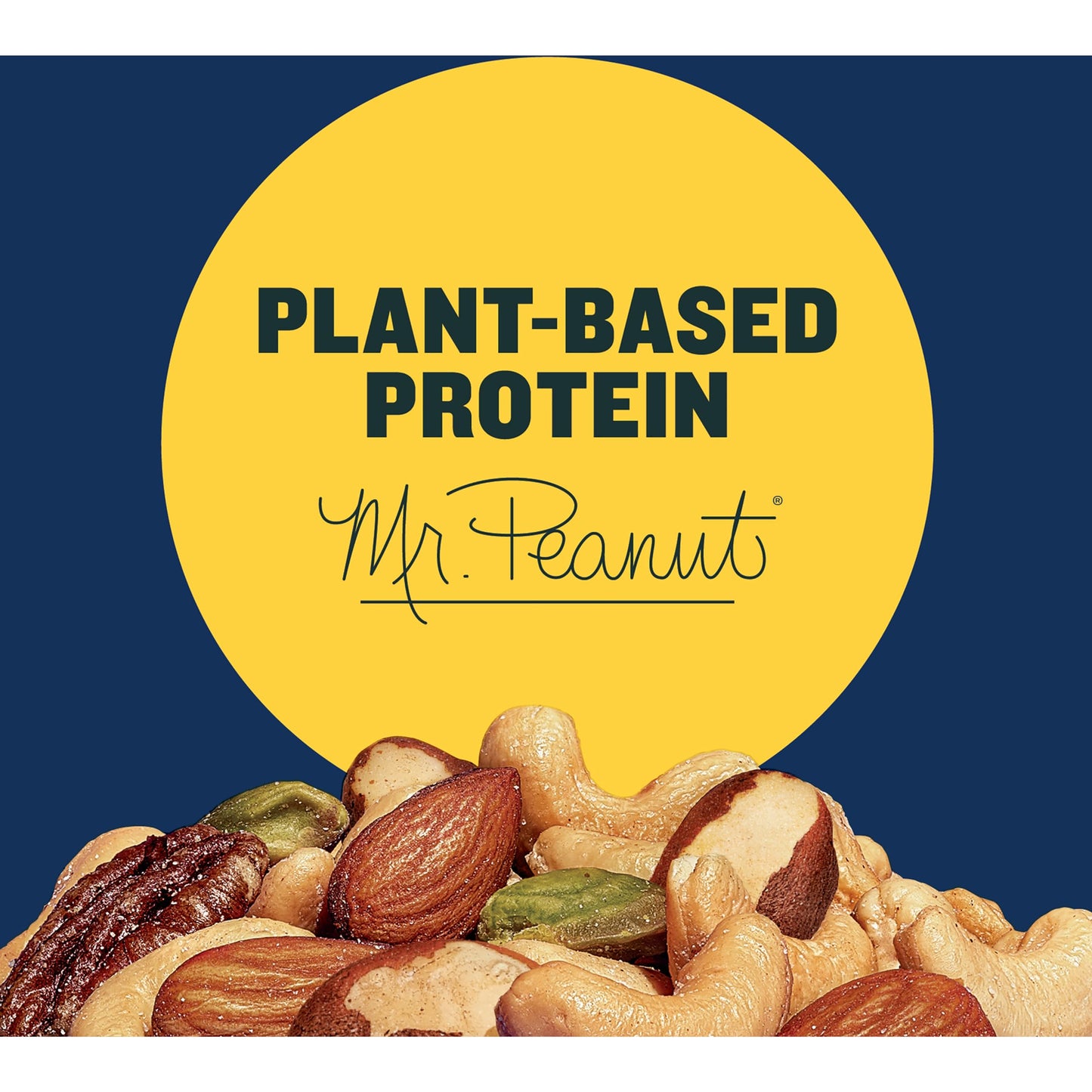 PLANTERS Deluxe Salted Mixed Nuts, Roasted Cashews, Almonds, Pecans, Pistachios, and Hazelnuts, Party Snacks, Plant-Based Protein, Quick Snack